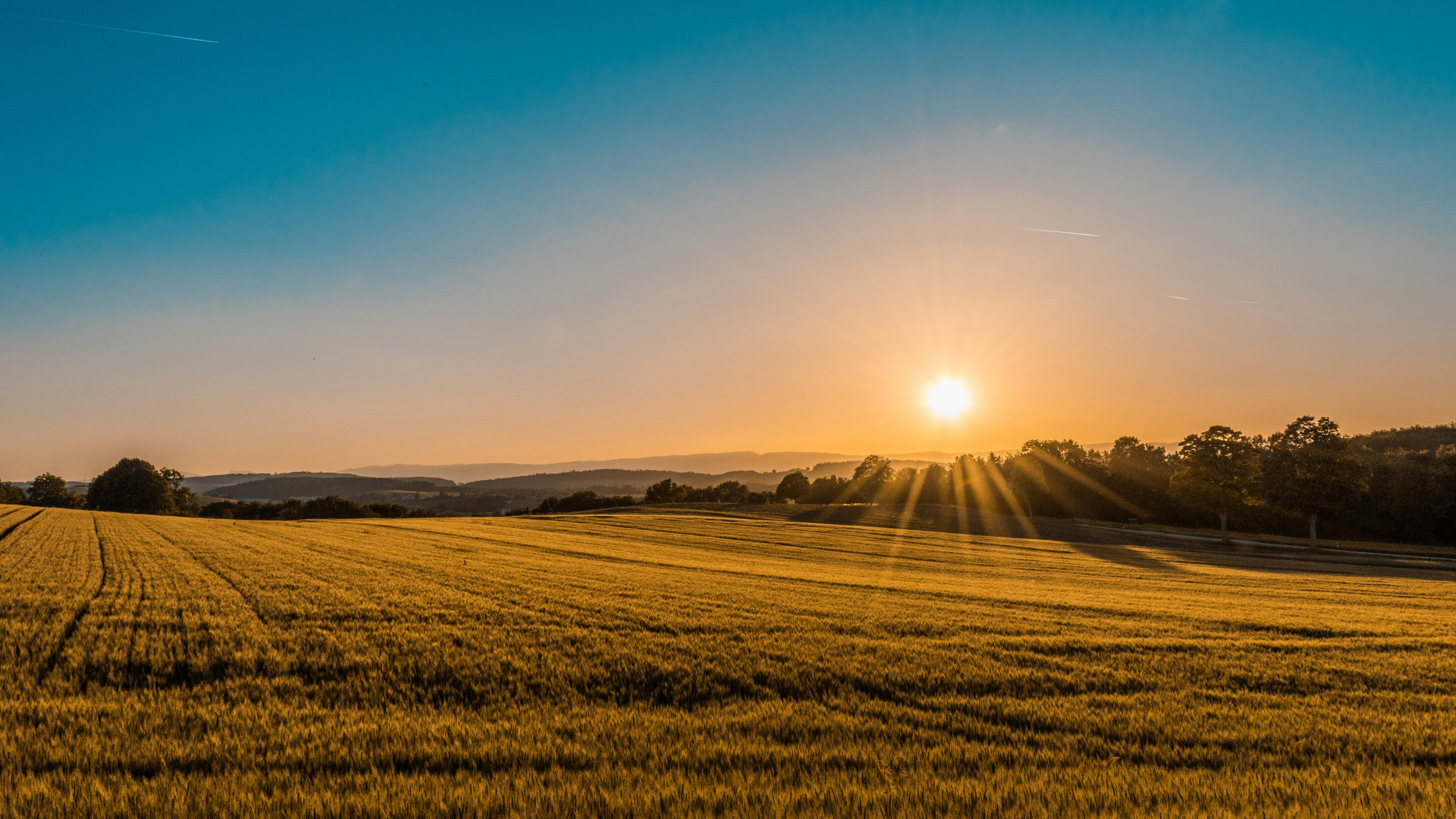 Système d'irrigation de précision dans un champ